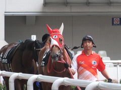 20170923 阪神10R 夕月特別(牝1000) レーヌドブリエ 04