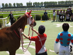 20150425 京都4R 3歳未勝利 レーヌドブリエ 21