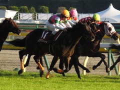 20161105 東京11R 京王杯2歳S(G2) コウソクストレート 26