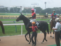 20110611メジロコウミョウ3