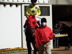 20180303 中山2R 3歳未勝利 ノーザンクリス 15
