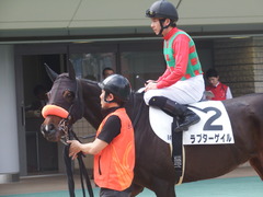 20190421 東京8R (500) ラプターゲイル 15