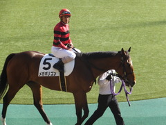 20161120 東京1R 2歳未勝利 メガポリゴン 14
