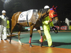 20141022 大井10R リメンバーメジロ 00