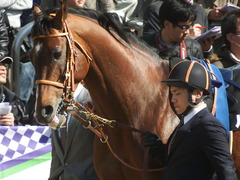 20190324 中山10R 美浦S(1600) ルーカス 09