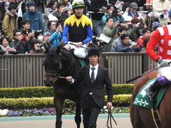 20170205 東京11R 東京新聞杯(G3) プロディガルサン 15