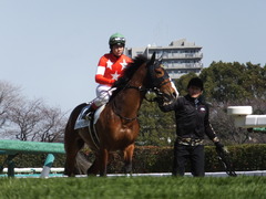 20140308 中山6R レッドリベリオン 13