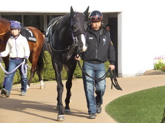 20150228 中山11R 総武S 4歳上1600万下 ベルゲンクライ 07