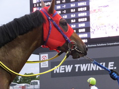 20170524 大井8R B2 マイネルグルマン 11
