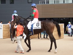 20180923 中山2R 2歳未勝利 マイネルハイボーン 14