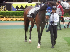 20190427 東京9R 秩父特別(1000) アドマイヤシナイ 03
