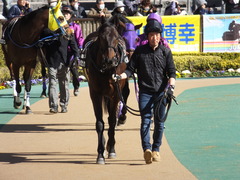 20150214 東京8R 春嶺JS メジロサンノウ 01