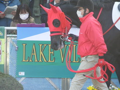 20180303 中山2R 3歳未勝利 ノーザンクリス 10