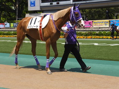 20140426 東京4R スクノード 05
