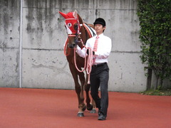 20141005 新潟5R レーヌドブリエ 03