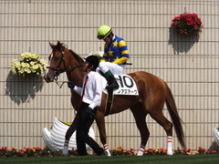 20150425 京都1R 3歳未勝利 ノアズアーク 08