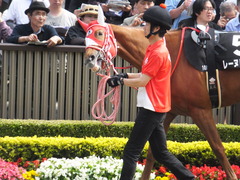 20170527 東京10R 葉山特別(1000) レーヌドブリエ 12