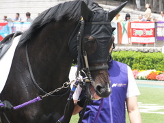 20160612 東京3R 3歳未勝利 ステイザベスト 09