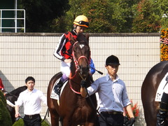 20151024 京都5R 2歳メイクデビュー ピッツバーグ 12