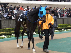20160130 東京10R クロッカスS モーゼス 08