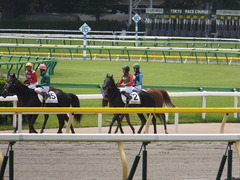 20150523 東京3R 3歳未勝利 コスモポッポ 16