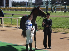 20150131 東京3R 3歳メイクデビュー プエルト 16