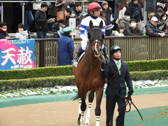 20180128 東京6R (500) プエルト 12