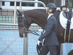 20171203 中山4R 2歳未勝利 ルフィーナ 04