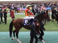 20161030 東京11R 天皇賞・秋(G1) モーリス 22