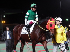 20181205 大井12R サジタリウス賞 B2 マイネルグルマン 15