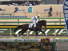 20160131 東京7R 4歳上500万下 プエルト 13
