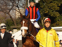 20170215 大井11R 金盃(S2) ユーロビート 20