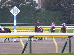 201301109 東京 ライアンセンス 12