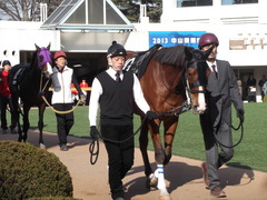 20130121 中山9R ユーロビート