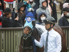 20190427 東京9R 秩父特別(1000) アドマイヤシナイ 12