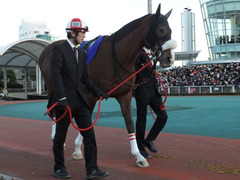 20151229 大井10R 東京大賞典 (G1) ユーロビート 17