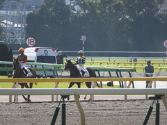 20141025 東京5R ロジダーリング 14