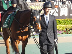 20170212 東京11R 共同通信杯(G3) ビルズトレジャー 13