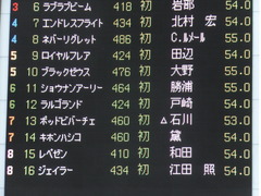 20151031 東京5R 2歳メイクデビュー ラルゴランド 18