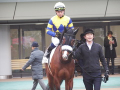 20190210 東京12R (1000) ロジスカーレット 15