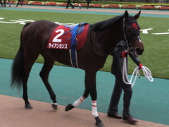 201301109 東京 ライアンセンス 05