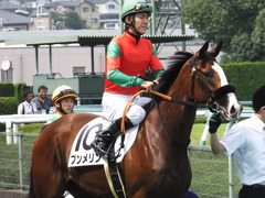 20161002 阪神5R 2歳メイクデビュー プンメリン 23