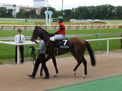 20140517東京9R オウケンブラック 12
