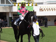20170312 中山5R 3歳未勝利 バトルオスカー 14