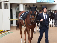 20180310 中山10R サンシャインS(1600) ホウオウパフューム 03