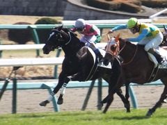 20170226 中山6R 3歳未勝利 バトルオスカー 25