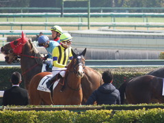 20180224 中山4R 4歳上障害未勝利 アッシュゴールド 11