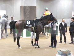 20141012 東京10R レジェンドTC オウケンブラック 14