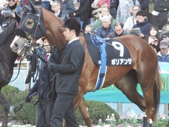 20190120 中山9R 菜の花賞 3歳(500) ポリアンサ 11