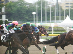 20190427 東京9R 秩父特別(1000) アドマイヤシナイ 19